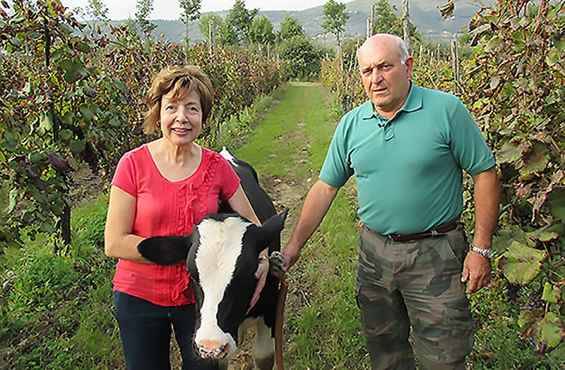 Azienda Agricola le Capanne | Una storia che attraversa generazioni