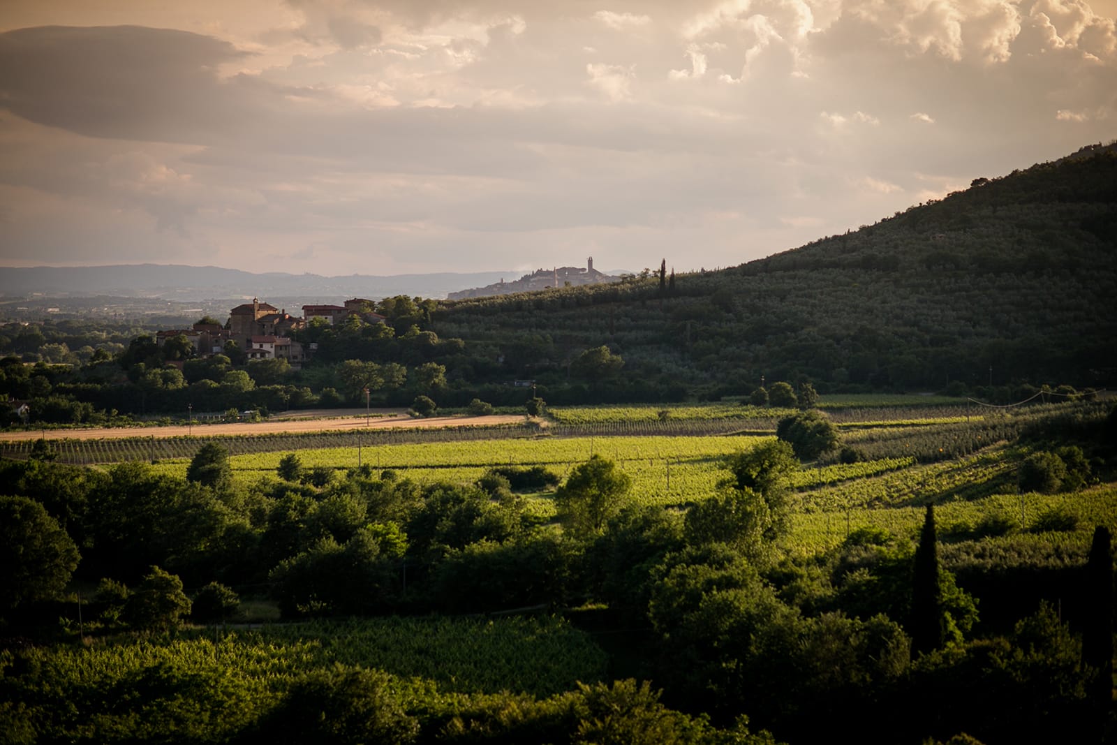 Farm Le Capanne. Images of the agricultural holding between Castiglion Fiorentino and Cortona