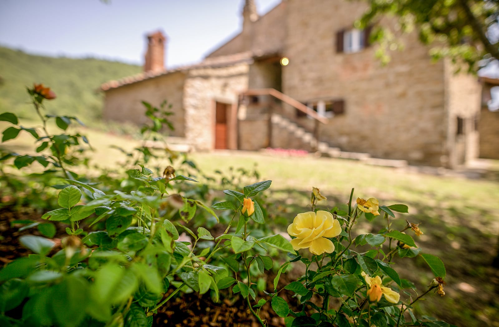 Book your holiday in Tuscany in a beautiful Agriturismo in Cortona and Castiglion Fiorentino