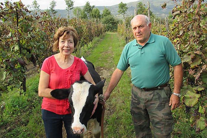 Agricultural Holding le Capanne | A story across generations
